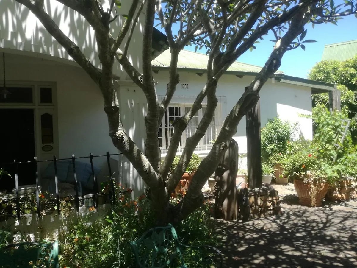 Valley Guest House Port Elizabeth Bed & Breakfast