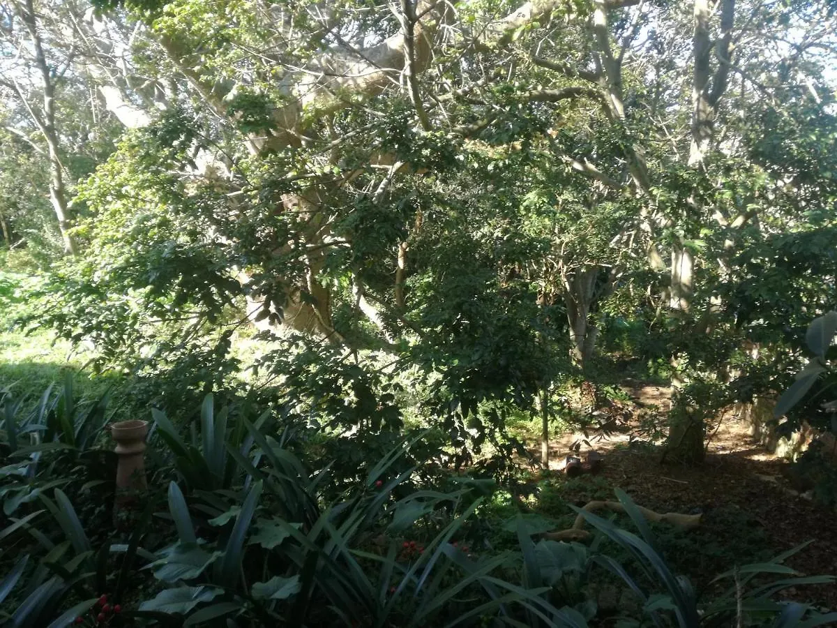 Valley Guest House Port Elizabeth 3*,  South Africa